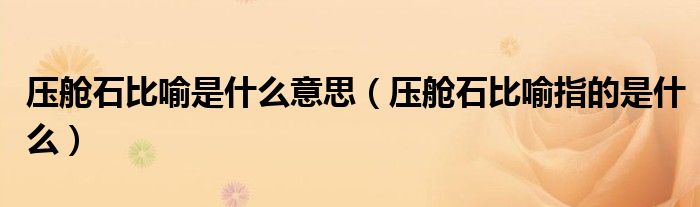 压舱石比喻是什么意思(压舱石比喻指的是什么)