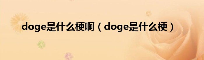 doge是什么梗啊(doge是什么梗)