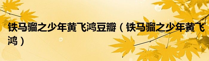 铁马骝之少年黄飞鸿豆瓣(铁马骝之少年黄飞鸿)