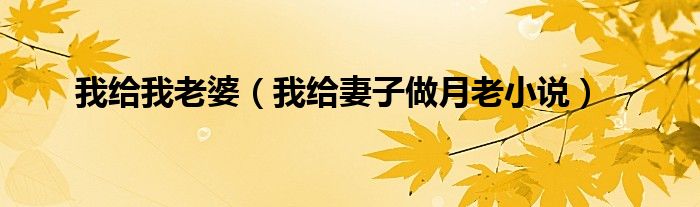 我给我老婆（我给妻子做月老小说）