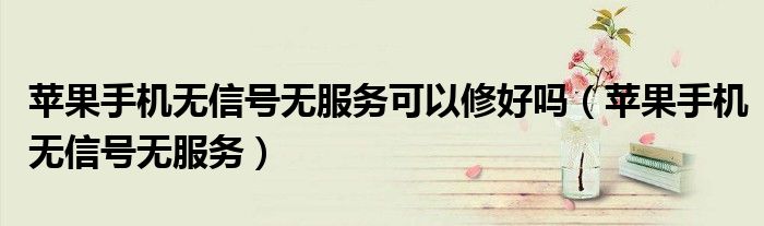 苹果手机无信号无服务可以修好吗(苹果手机无信号无服务)