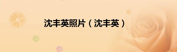 沈丰英照片（沈丰英）