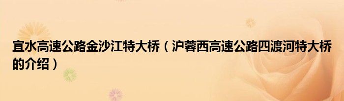宜水高速公路金沙江特大桥(沪蓉西高速公路四渡河特大桥的介绍)