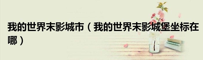 我的世界末影城市(我的世界末影城堡坐标在哪)
