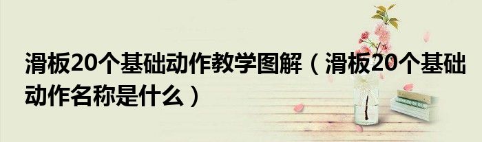 滑板20个基础动作教学图解(滑板20个基础动作名称是什么)