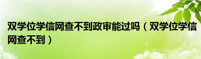 双学位学信网查不到政审能过吗(双学位学信网查不到)