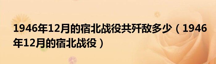 1946年12月的宿北战役共歼敌多少(1946年12月的宿北战役)