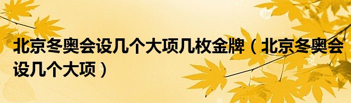 北京冬奥会设几个大项几枚金牌(北京冬奥会设几个大项)
