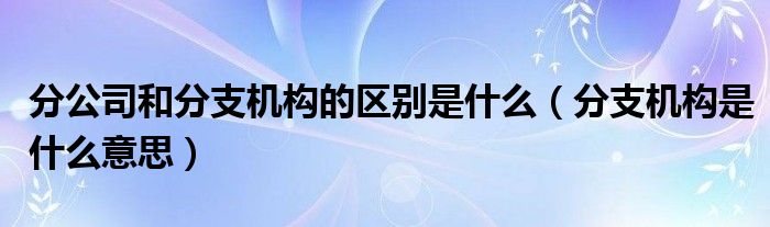 分公司和分支机构的区别是什么(分支机构是什么意思)