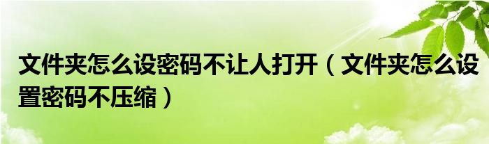 文件夹怎么设密码不让人打开(文件夹怎么设置密码不压缩)
