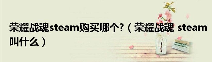 荣耀战魂steam购买哪个?(荣耀战魂 steam叫什么)