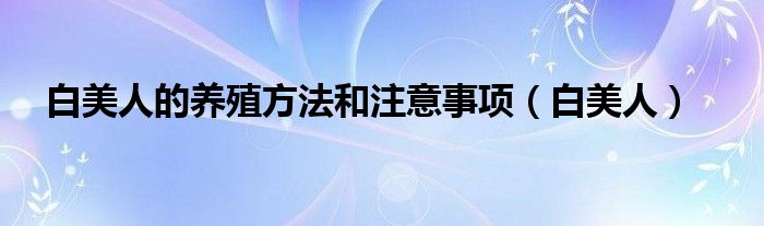 白美人的养殖方法和注意事项(白美人)