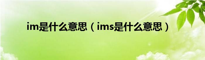 im是什么意思(ims是什么意思)