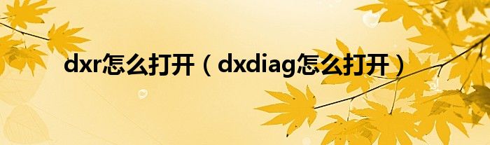 dxr怎么打开(dxdiag怎么打开)