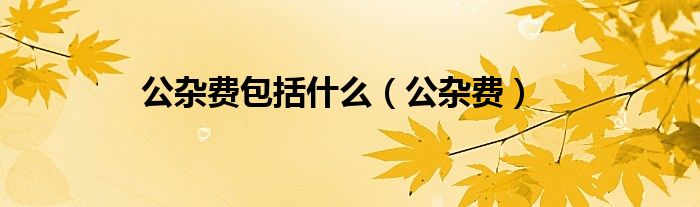 公杂费包括什么（公杂费）