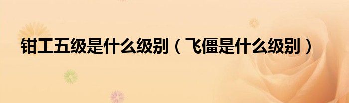 钳工五级是什么级别(飞僵是什么级别)