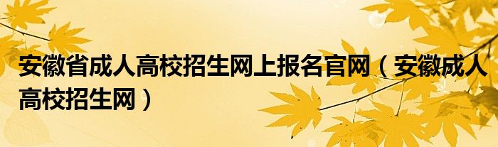 安徽省成人高校招生网上报名官网(安徽成人高校招生网)