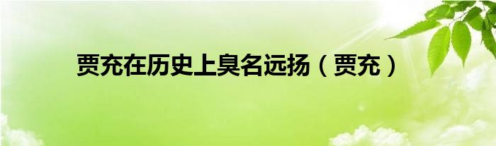 贾充在历史上臭名远扬(贾充)