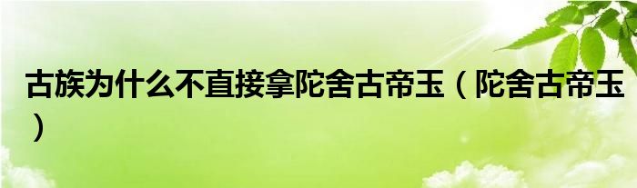 古族为什么不直接拿陀舍古帝玉(陀舍古帝玉)