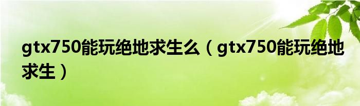 gtx750能玩绝地求生么(gtx750能玩绝地求生)