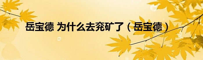 岳宝德 为什么去兖矿了(岳宝德)