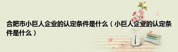 合肥市小巨人企业的认定条件是什么(小巨人企业的认定条件是什么)
