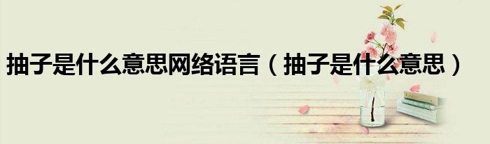 抽子是什么意思网络语言（抽子是什么意思）