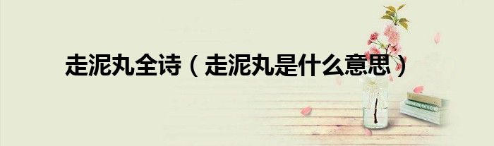 走泥丸全诗(走泥丸是什么意思)