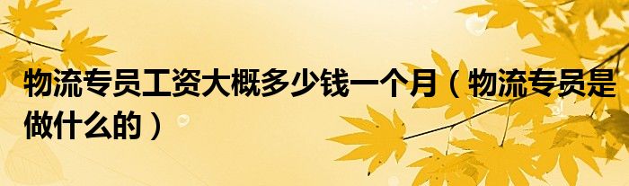 物流专员工资大概多少钱一个月(物流专员是做什么的)