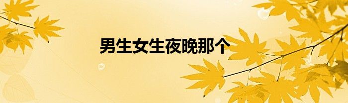 男生女生夜晚那个