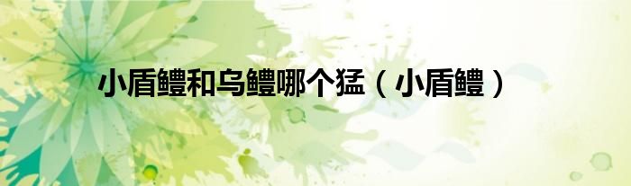 小盾鳢和乌鳢哪个猛(小盾鳢)