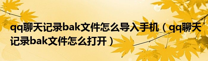 qq聊天记录bak文件怎么导入手机(qq聊天记录bak文件怎么打开)