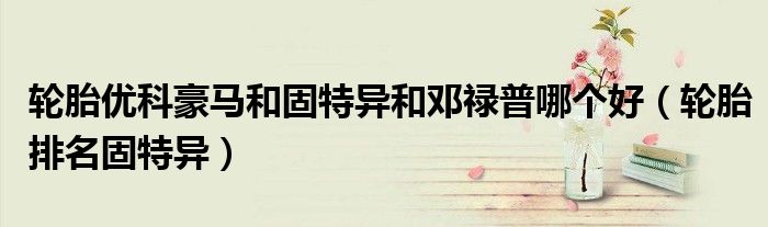 轮胎优科豪马和固特异和邓禄普哪个好(轮胎排名固特异)