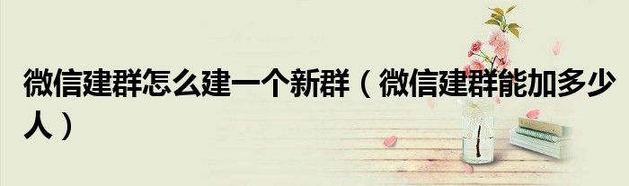 微信建群怎么建一个新群(微信建群能加多少人)