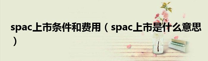 spac上市条件和费用(spac上市是什么意思)