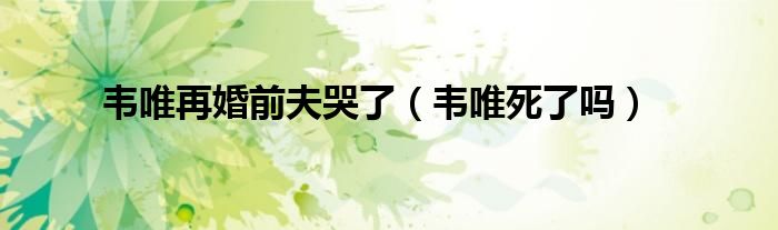 韦唯再婚前夫哭了(韦唯死了吗)