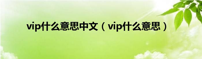 vip什么意思中文(vip什么意思)