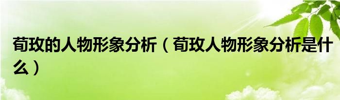 荀玫的人物形象分析(荀玫人物形象分析是什么)