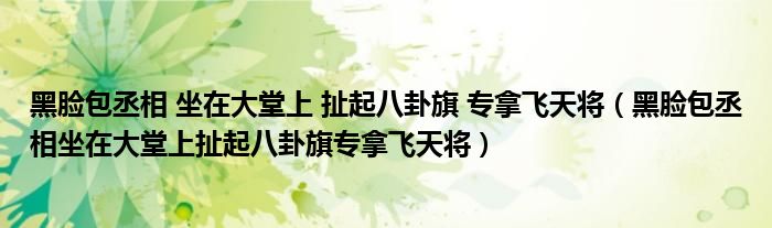 黑脸包丞相 坐在大堂上 扯起八卦旗 专拿飞天将(黑脸包丞相坐在大堂上扯起八卦旗专拿飞天将)