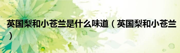英国梨和小苍兰是什么味道(英国梨和小苍兰)