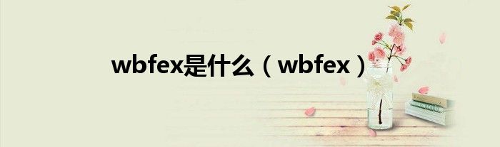 wbfex是什么(wbfex)