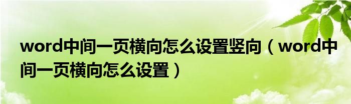 word中间一页横向怎么设置竖向(word中间一页横向怎么设置)