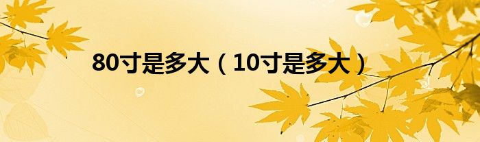 80寸是多大(10寸是多大)