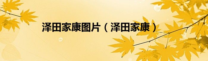 泽田家康图片(泽田家康)