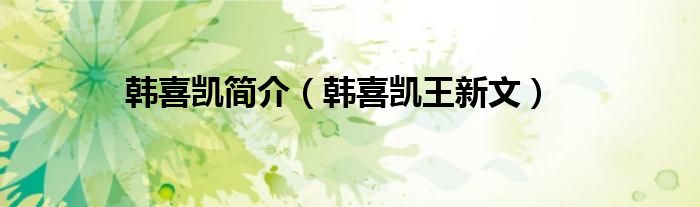 韩喜凯简介(韩喜凯王新文)