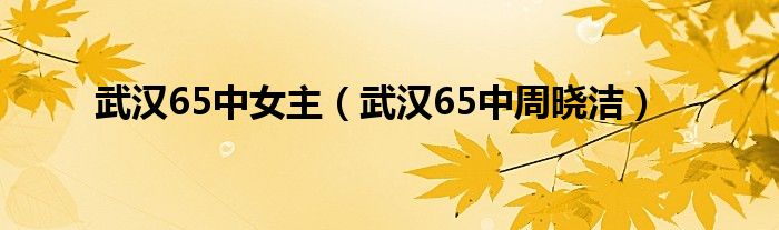 武汉65中女主(武汉65中周晓洁)