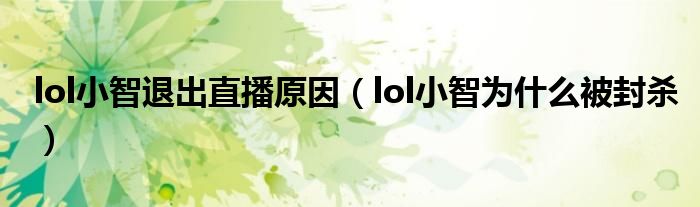 lol小智退出直播原因(lol小智为什么被封杀)