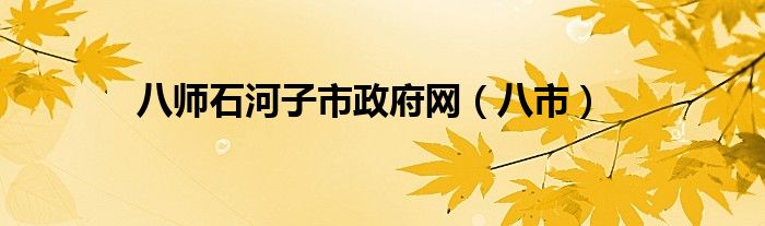 八师石河子市政府网(八市)