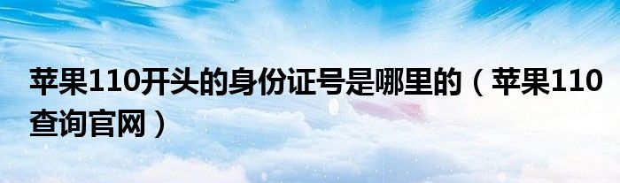 苹果110开头的身份证号是哪里的(苹果110查询官网)