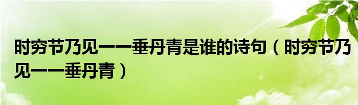时穷节乃见一一垂丹青是谁的诗句(时穷节乃见一一垂丹青)